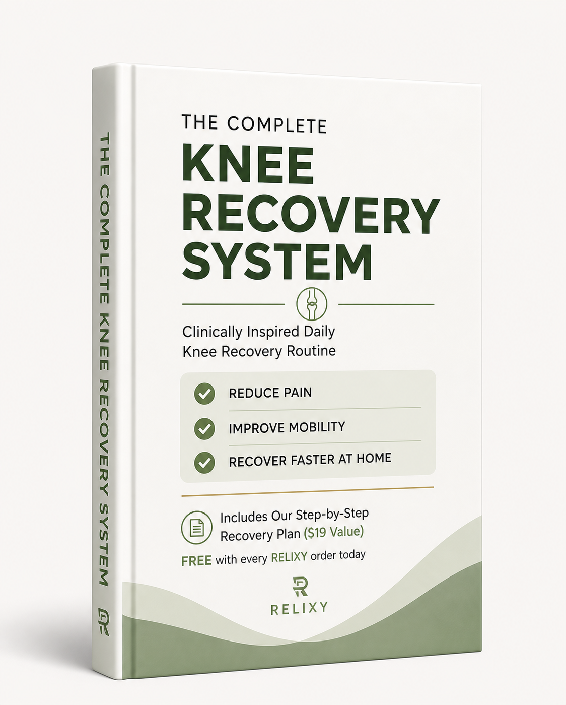 Knee Recovery Guide